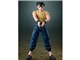 S.H.Figuarts �Y�їH��