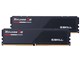 F5-5200J4040A24GX2-RS5K [DDR5 PC5-41600 24GB 2g]