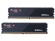 F5-5200J4040A48GX2-FX5 [DDR5 PC5-41600 48GB 2g]