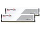 F5-5200J4040A48GX2-RS5W [DDR5 PC5-41600 48GB 2g]