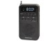 AudioComm RAD-P332N-K [ubN]