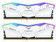 FF4D532G8000HC38DDC01 [DDR5 PC5-64000 16GB 2g]