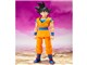 S.H.Figuarts �����-DAIMA-