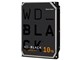 WD102FZBX [10TB SATA600 7200]