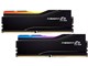 F5-9000C4256H24GX2-TZ5CRK [DDR5 PC5-72000 24GB 2g CUDIMM]