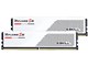 F5-6000J2836G16GX2-RS5W [DDR5 PC5-48000 16GB 2g]