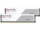 F5-6000J3036F48GX2-RS5W [DDR5 PC5-48000 48GB 2g]