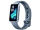 HUAWEI Band 10 Aluminum Edition [u[]