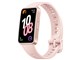 HUAWEI Band 10 [sN]