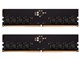 TED532G6000C48DC01 [DDR5 PC5-48000 16GB 2g]