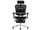 Ergohuman PRO2 ottoman EHP2-LPL-DR-BF-BK [�u���b�N]