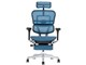 Ergohuman PRO2 ottoman EHP2-LPL-DR-BF-BL [�u���[]