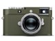 CJM11-P Safari {fB [I[uO[]