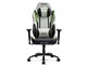 Eclair Gaming Chair AKR-ECLAIR-GREEN [�O���[��]