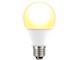 MLDA6L-G-06T1 [�d���F]