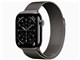 Apple Watch Series 11 GPS+Cellular���f�� 42mm MF8U4J/A [�X���[�g�`�^�j�E���P�[�X�E�X���[�g�~���l�[�[���[�v]