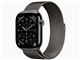 Apple Watch Series 11 GPS+Cellular���f�� 46mm MFD34J/A [�X���[�g�`�^�j�E���P�[�X�E�X���[�g�~���l�[�[���[�v S/M]