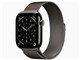 Apple Watch Series 11 GPS+Cellular���f�� 46mm MFD44J/A [�X���[�g�`�^�j�E���P�[�X�E�X���[�g�~���l�[�[���[�v M/L]