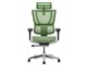 Ergohuman FIT2 FIT2-HAM-DR-BF-GN [�O���[��]