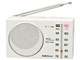 AudioComm RAD-H100N [�z���C�g]