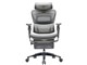 COFO Chair Premium 2 CC-20G [�O���[]