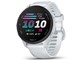 Forerunner 70 010-04307-31 [Whitestone]