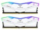 FF4D516G5600HC40BDC01 [DDR5 PC5-44800 8GB 2���g]