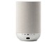 Denon Home 200S [�X�g�[���E�V���o�[]