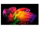 OLED83W6PJA [83�C���`]