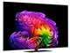 OLED65G6PJB [65�C���`]