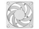 FD-F-DY3-1203 [White]