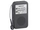 AudioComm RAD-P137N [�u���b�N]