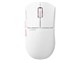 Pro Series Jinggg-X Medium Gaming Mouse PJGX21