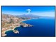 TH-55SQC1J [55�C���` ��]