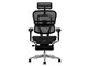 Ergohuman PRO2 Ottoman EHP2-LPL-5D-DR-BF-BK [�u���b�N]