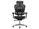 Ergohuman PRO2 EHP2-HAM-5D-DR-BF-BK [�u���b�N]