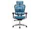 Ergohuman PRO2 EHP2-HAM-5D-DR-BF-BL [�u���[]