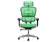 Ergohuman PRO2 EHP2-HAM-5D-DR-BF-GN [�O���[��]