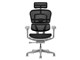 Ergohuman PRO2 EHP2-HAM-5D-DR-GF-BK [�u���b�N]