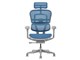 Ergohuman PRO2 EHP2-HAM-5D-DR-GF-BL [�u���[]