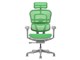 Ergohuman PRO2 EHP2-HAM-5D-DR-GF-GN [�O���[��]