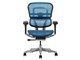 Ergohuman PRO2 EHP2-LAM-5D-DR-BF-BL [�u���[]