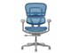 Ergohuman PRO2 EHP2-LAM-5D-DR-GF-BL [�u���[]