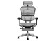 Ergohuman PRO2 Ottoman EHP2-LPL-5D-DR-BF-WH [�z���C�g]