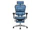 Ergohuman PRO2 Ottoman EHP2-LPL-5D-DR-BF-BL [�u���[]