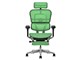 Ergohuman PRO2 Ottoman EHP2-LPL-5D-DR-BF-GN [�O���[��]