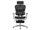 Ergohuman PRO2 Ottoman EHP2-LPL-5D-DR-GF-BK [�u���b�N]