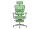Ergohuman PRO2 Ottoman EHP2-LPL-5D-DR-GF-GN [�O���[��]