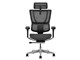 Ergohuman FIT2 FIT2-HAM-5D-DR-BF-BK [�u���b�N]