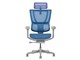 Ergohuman FIT2 FIT2-HAM-5D-DR-GF-BL [�u���[]